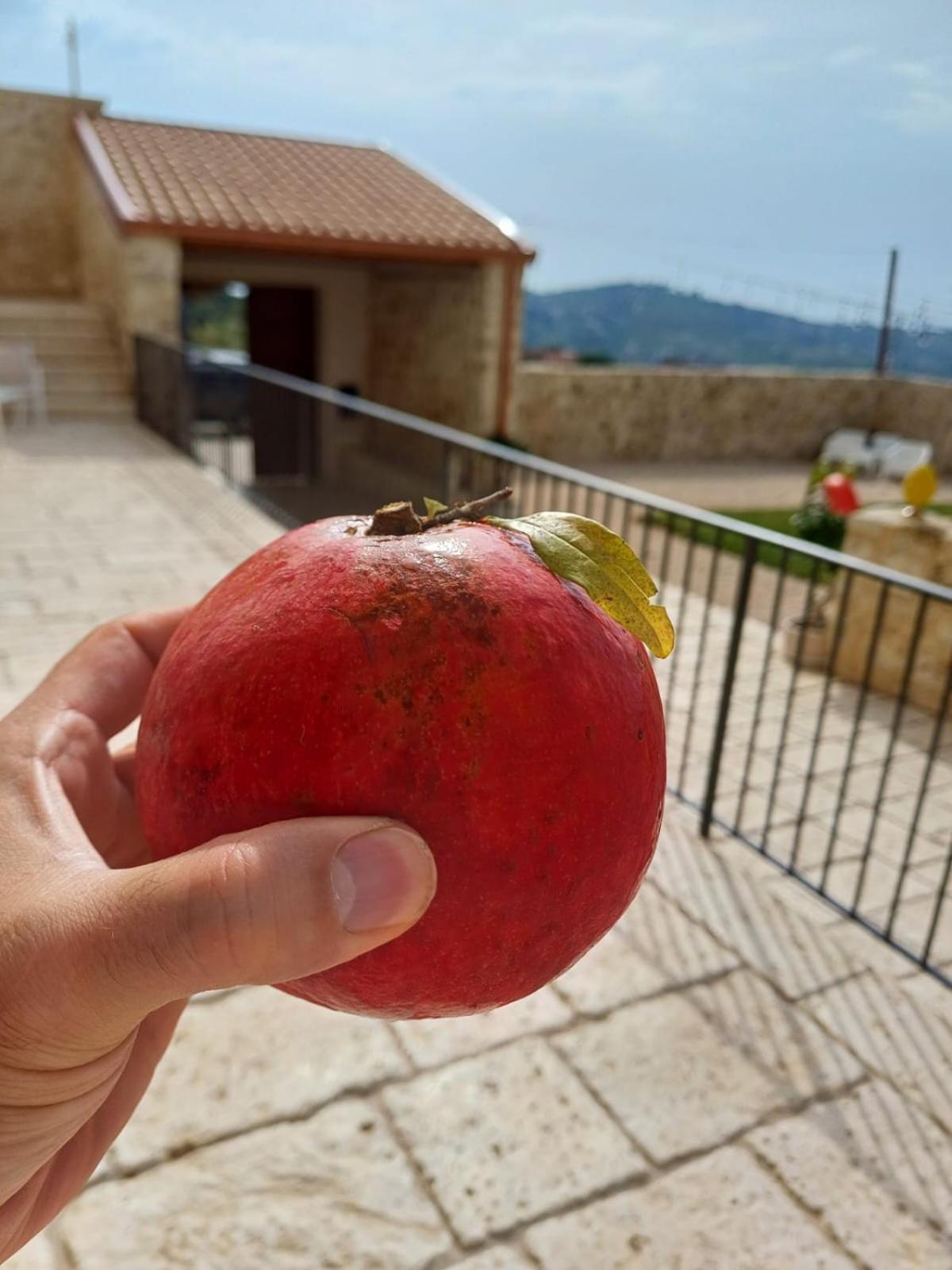 Masseria Torre Saracena Agrigento Exterior foto